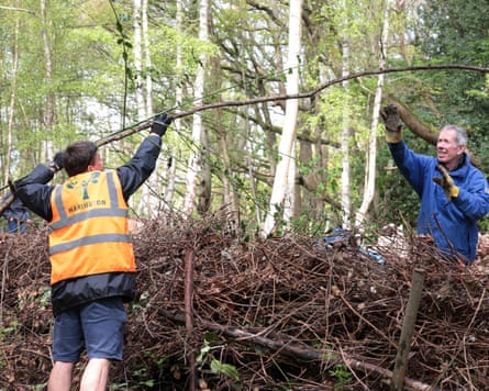Volunteers move tree branches in Hadley Wood, north London.
