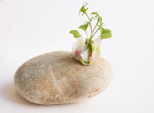 ‘Michelin-teasing’? Pickled kohlrabi stuffed with raw mackerel, served on a pebble.