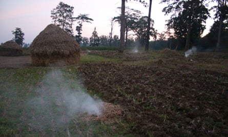 Chilli smoke is used to keep elephants away.
