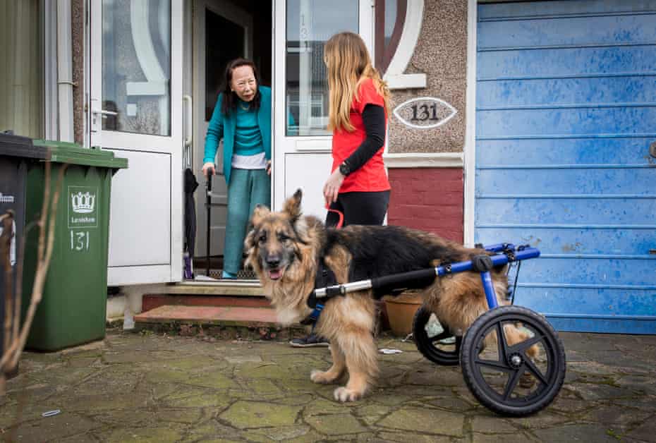 Natalie Tremlett walks Jacob for Janet