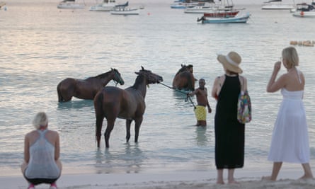 Trainers wade in the sea with horses from the Garrison Savannah horse racing track in Bridgetown