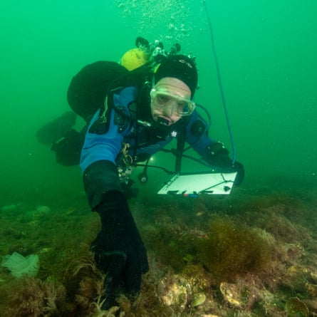 Prof Bill Sanderson, of Heriot-Watt University, diving in Loch Ryan/