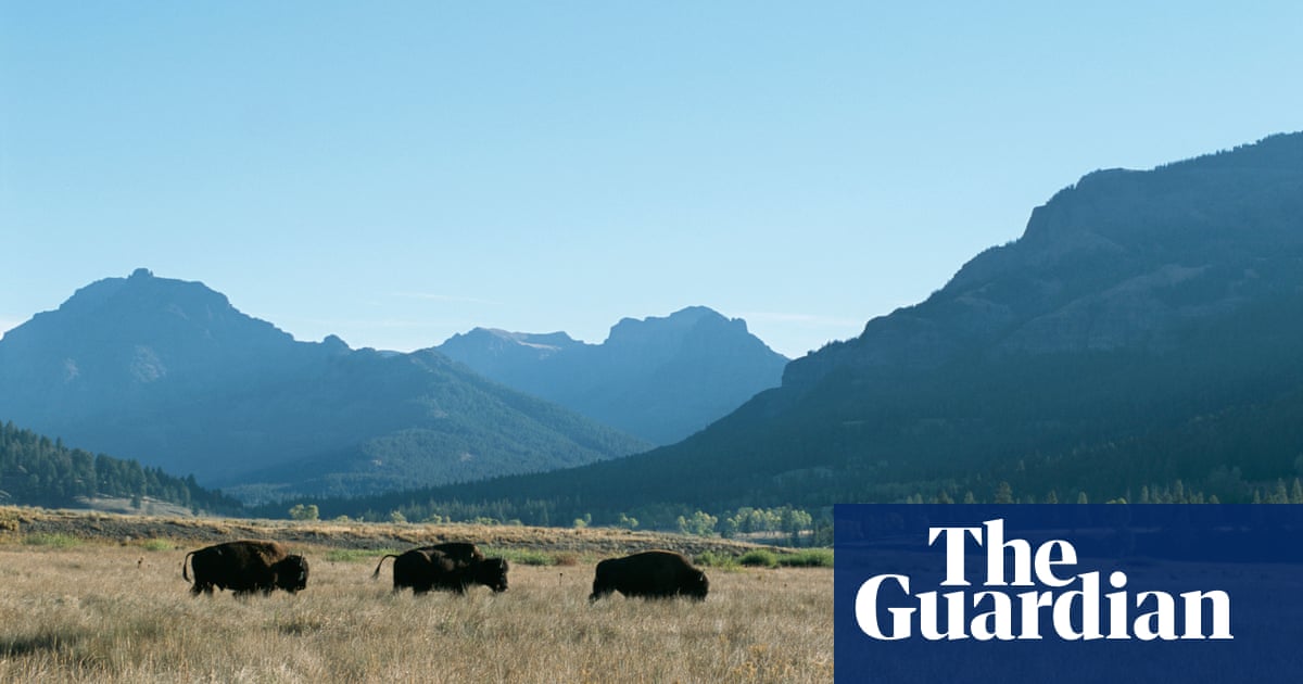 Yellowstone: report reveals extent of climate threat to oldest US national park