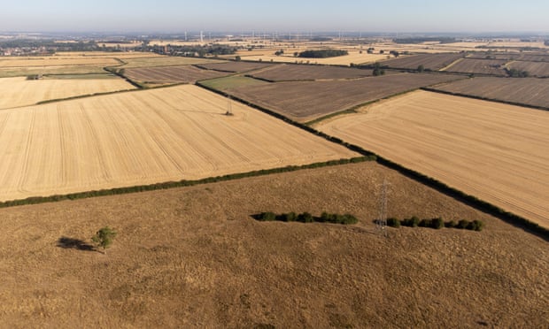 Parched fields and meadows in Finedon, Northamptonshire