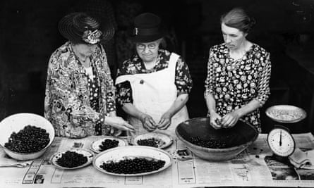 1 August 1943: WI members weigh and stone cherries in order to make jam.