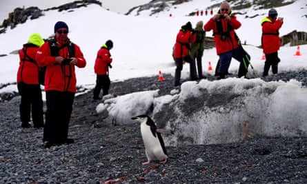 Tourists take a picture of a chinstrap penguin on Half Moon island, Antarctica.