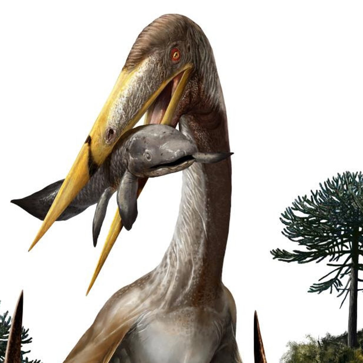 Pteranodon was a giant flying reptile which lived during