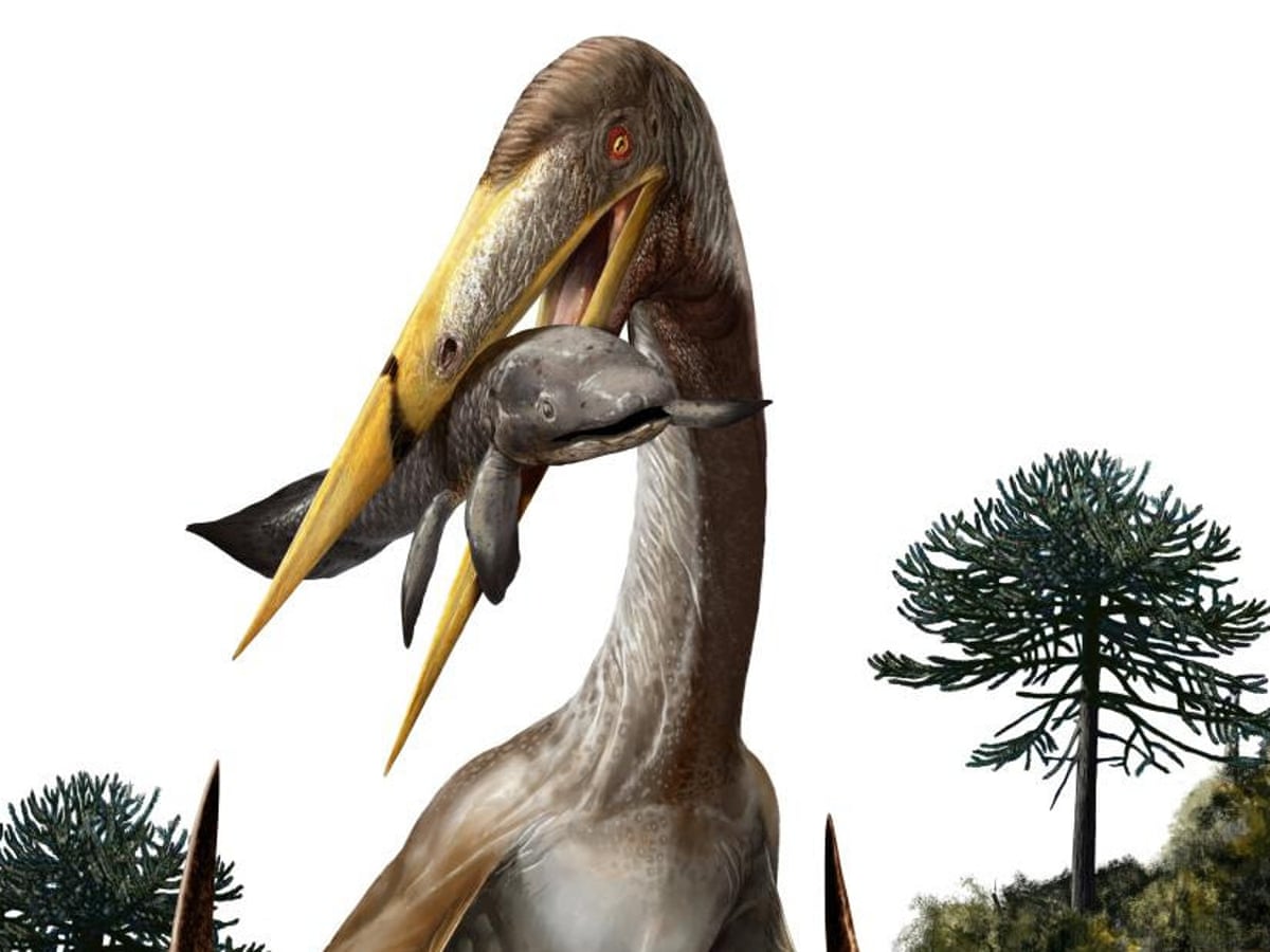 Pterodactyl Killing Asteroid Pterodactyl killing asteroid