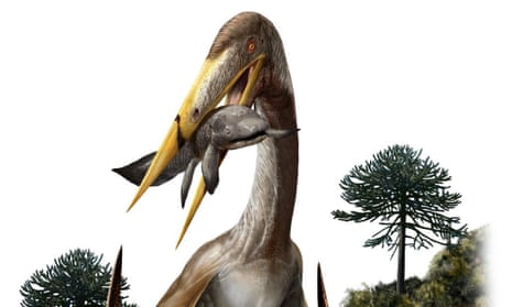 The flying pterosaur.
