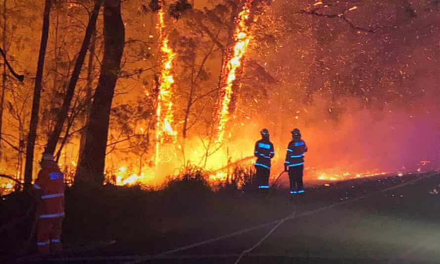 Firefighters working on the Currowan bushfire along the Princes Highway on Monday.