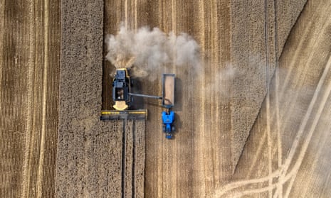 A combine harvester at work in a wheat field in Essex in July 2023.