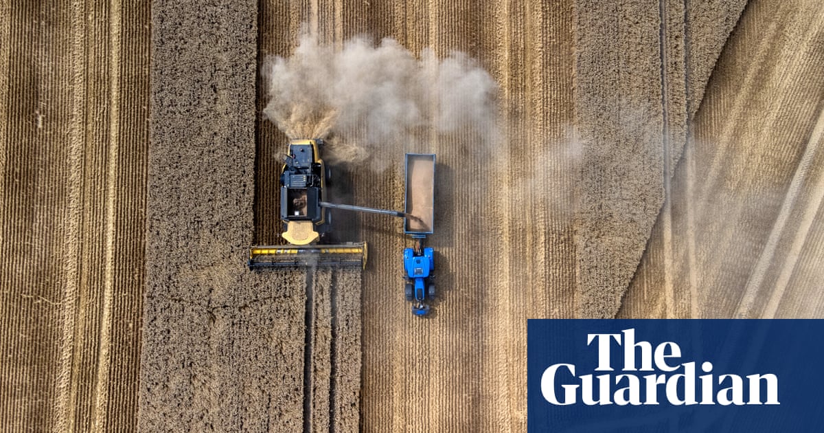 Farmers warn ‘crisis is building’ as record rainfall drastically reduces UK food production | Farming | The Guardian