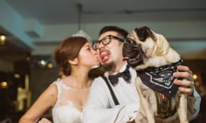 Dog gets involved in wedding picture