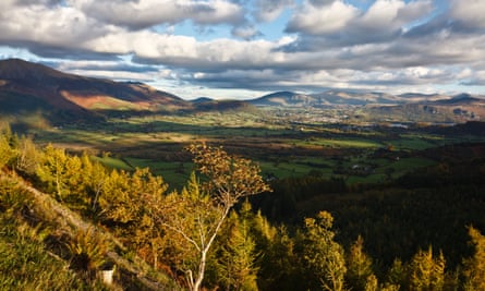 View from Whinlatter Forest Park, Lake District National Park, Cumbria, England.