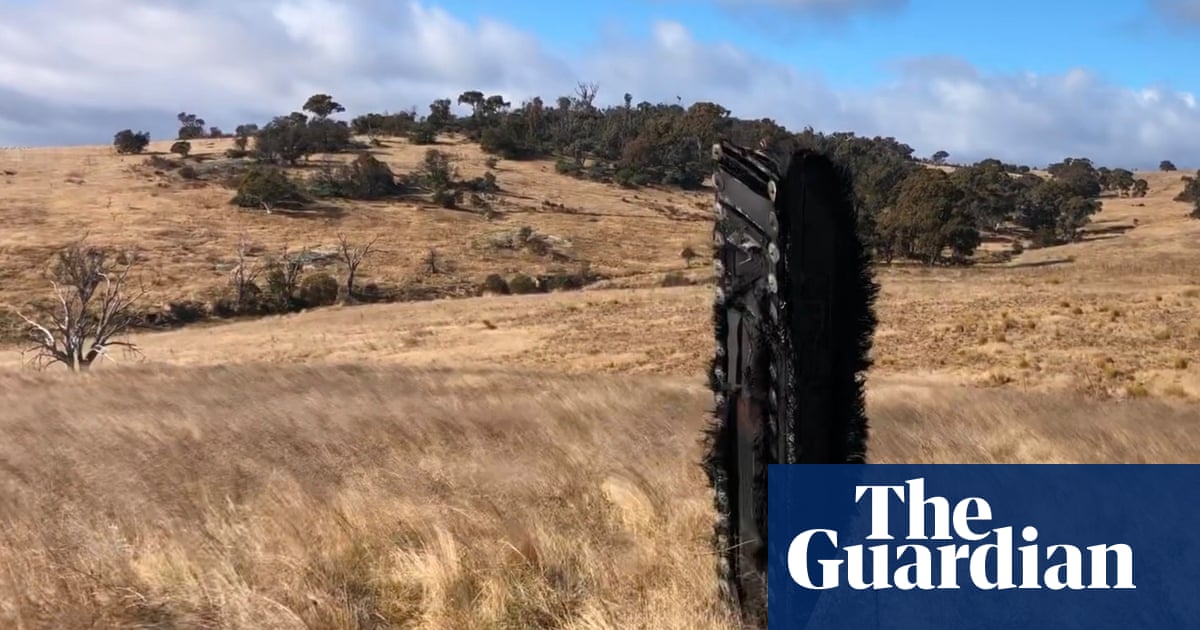 ‘Like an alien obelisk’: space debris found in Snowy Mountains paddock believed to be from SpaceX mission