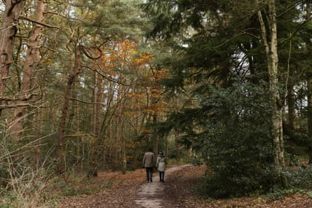The route passes through Pinewoods, a council-owned area of woodland between Valley Gardens and Harlow Carr RHS gardens