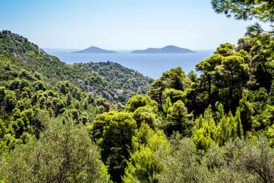 A view from the wooded coast of Alonissos of the Adelfi islands.