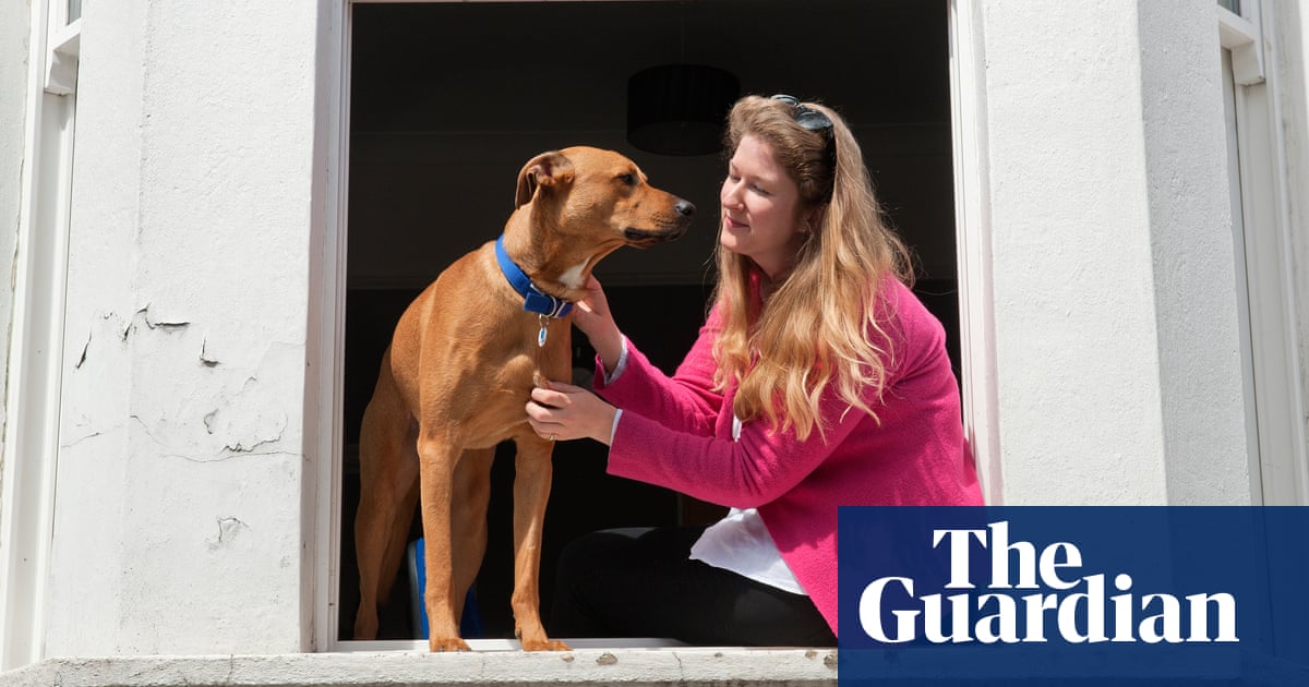 Battersea dog and cat foster carers – photo essay