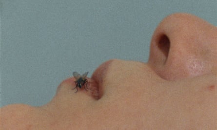 Fly by Yoko Ono, 1970-71.