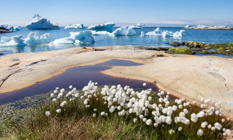 A view of Greenland’s shore with icebergs in the background.