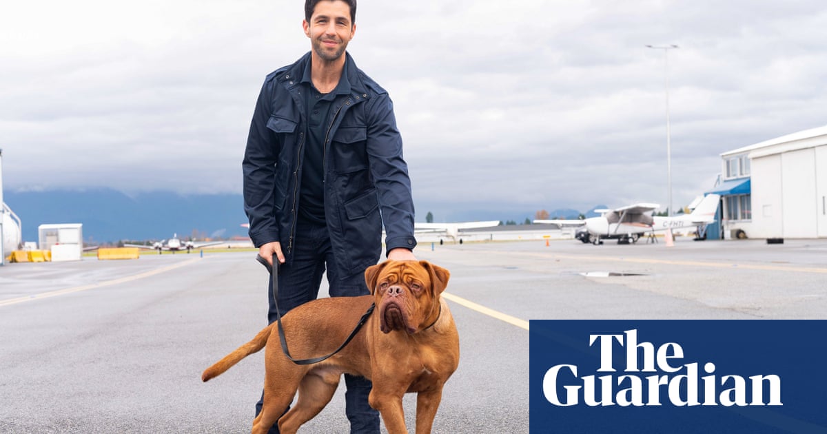 Disney’s Turner & Hooch reboot: shouldn’t we let sleeping dogs lie?