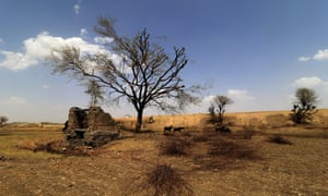 Scorched land on the outskirts of Jaipur, Rajasthan, India