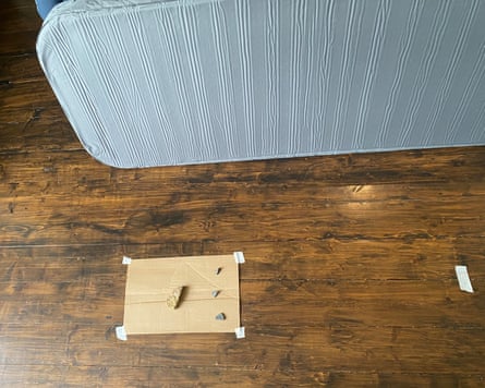 A camping mattress is lifted on its side on a wooden floor to reveal a pile of stones on top of a sheet of cardboard