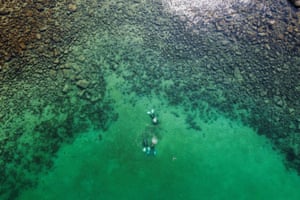 Divers seen from above