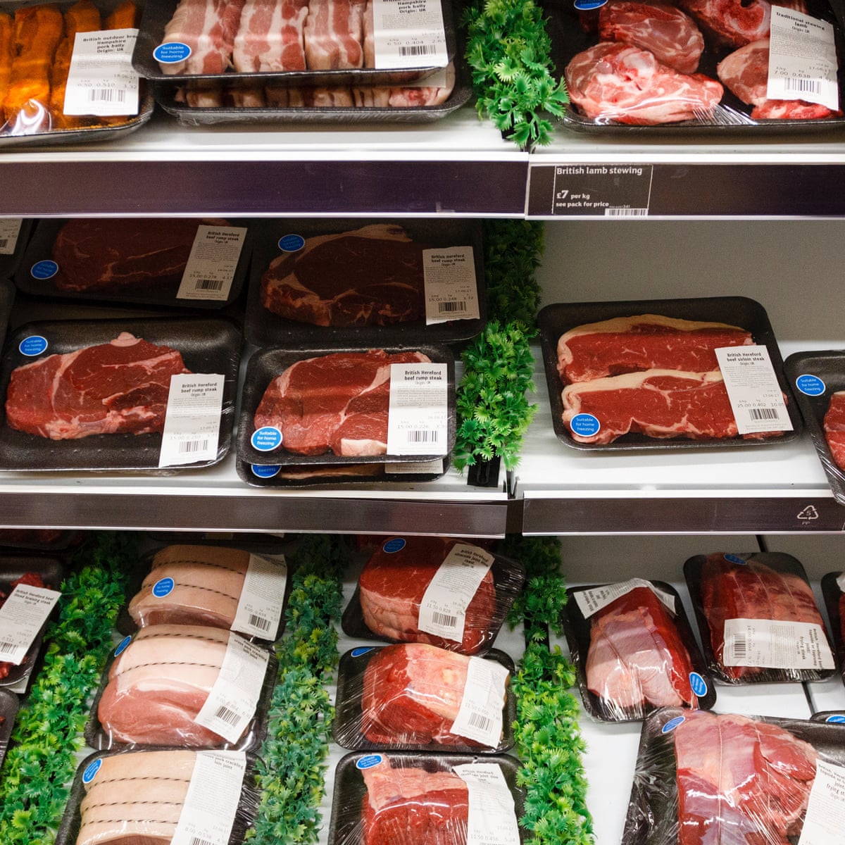 Eating meat 'raises risk heart disease, diabetes and pneumonia' | Meat The Guardian