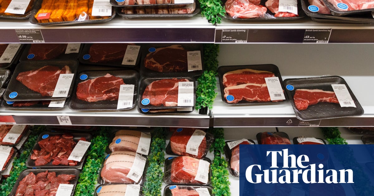 Supermarkets vow to cut ties with meat suppliers found to exploit workers