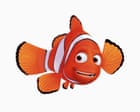 The Fin-Tastic Fish Puzzle Solution Revealed