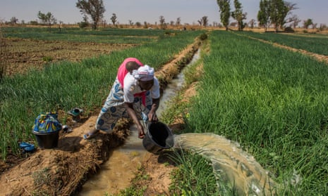 A woman waters her crop of spring onions with her baby on her back, near Bewani, Mali. 