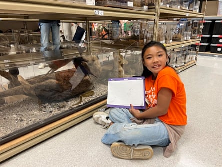 Girl wearing orange T-shirt sits on floor next to plexiglass case and holds up drawing.
