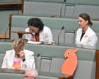 Australia politics live: Taylor says alleged attack on Helen Haines ‘unfathomable’; Steggall calls Indi MP ‘matriarch of crossbench’ as parliament hears emotional tributes