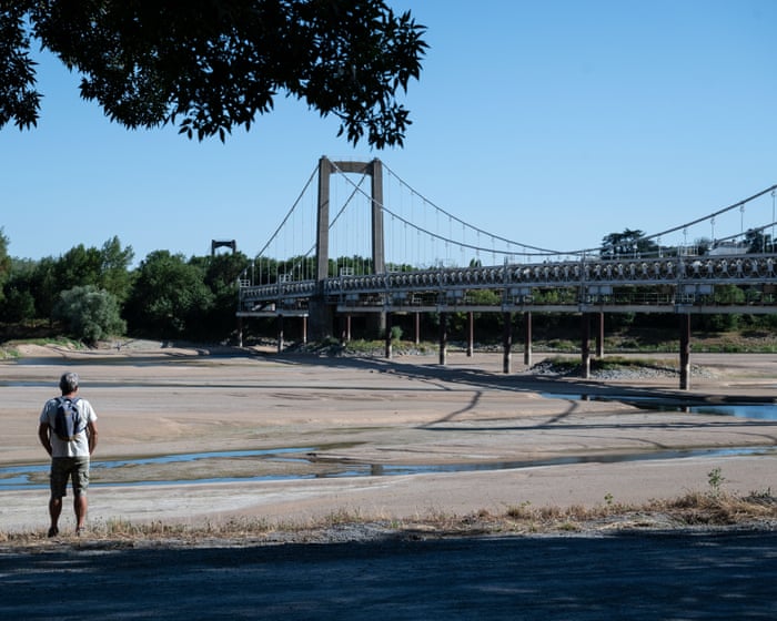 Volunteers Battle Heatwaves to Save Fish from Dying French Rivers