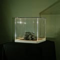 Trá Pháidín, Cloch’s Claí Album artwork