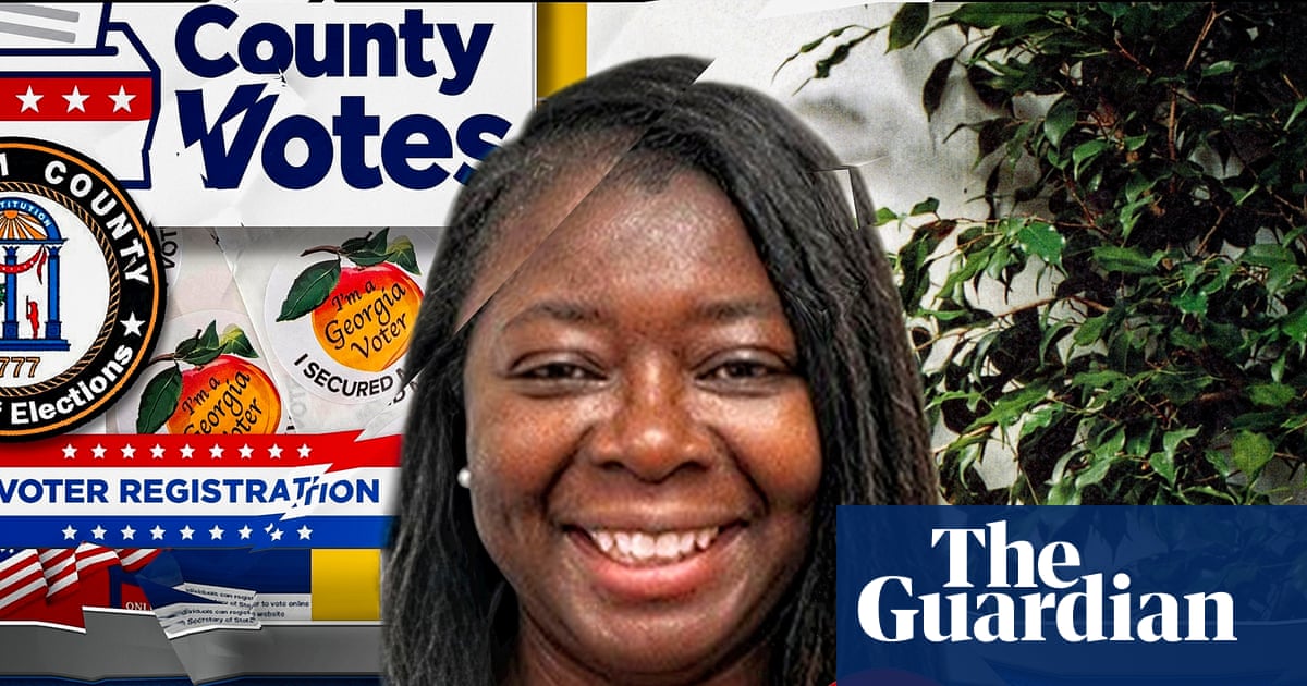 ‘I don’t talk politics with anyone’: Georgia voting official on avoiding fiery debates ahead of midterms
