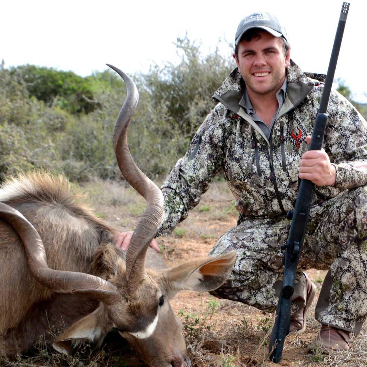 Who Would Want To Kill A Lion Inside The Minds Of Trophy Hunters Wildlife The Guardian Who Would Want To Kill A Lion Inside The Minds Of Trophy Hunters Wildlife The Guardian