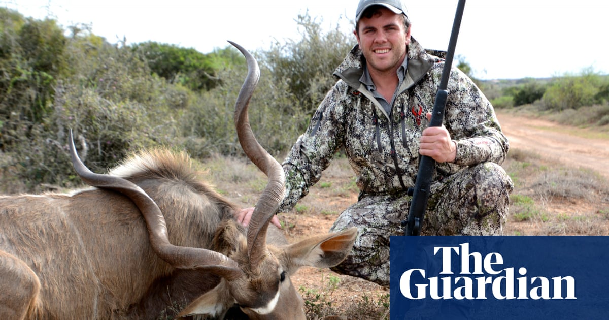 Who would want to kill a lion? Inside the minds of trophy hunters |  Wildlife | The Guardian