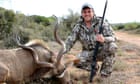 Who would want to kill a lion? Inside the minds of trophy hunters
