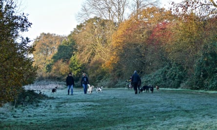 People walking in Reading, England, November 2020