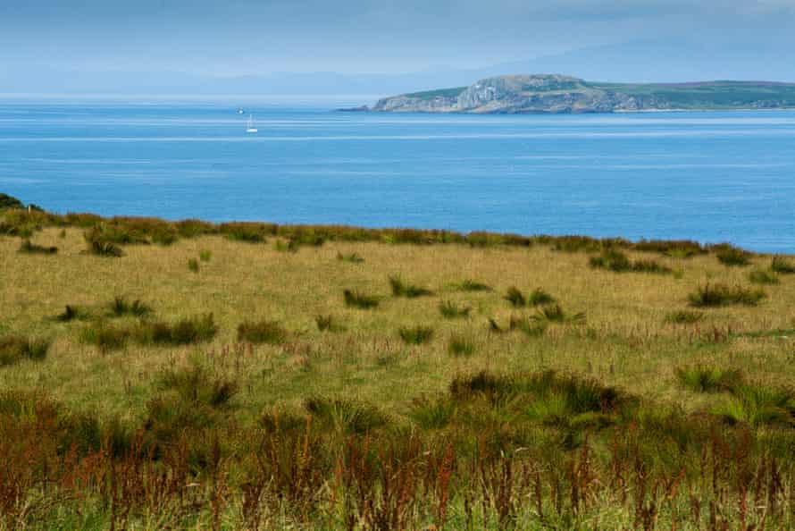 Prof David Reay's carbon farm on the Mull of Kintyre