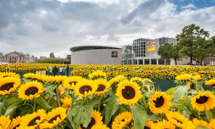 Sunflowers in the garden of the Van Gogh Museum, Amsterdam.