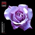 MAGNIFIQUE 3 - NETHSINGHA