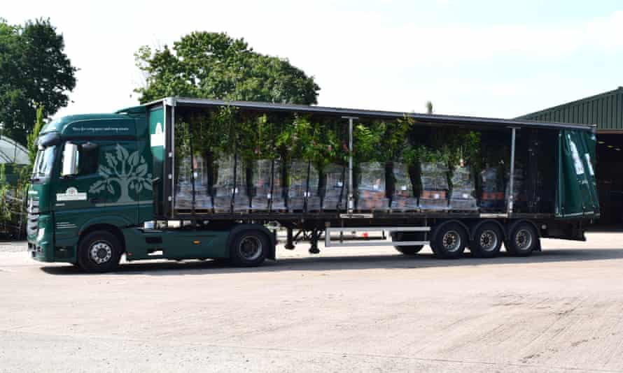 Plants can take up to 48 hours longer to arrive from the continent since Brexit.