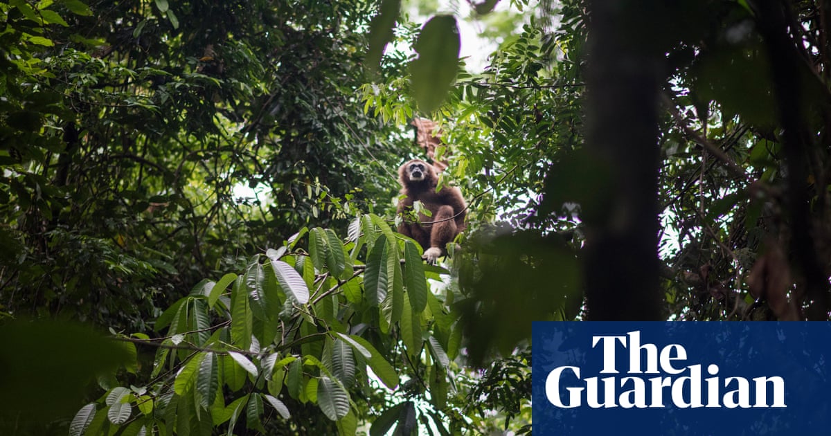 More than half of countries are ignoring biodiversity pledges – analysis