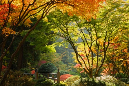 Japanese Garden.
Autumn colors in Portland’s Japanese Garden, perhaps one of the most authentic outside of Japan.
