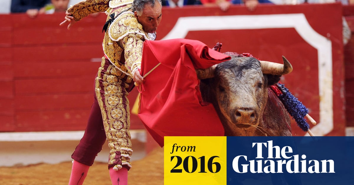 Mexican Bullfighter El Pana Dies A Month After Being Gored Bullfighting The Guardian Mexican Bullfighter El Pana Dies A Month After Being Gored Bullfighting The Guardian