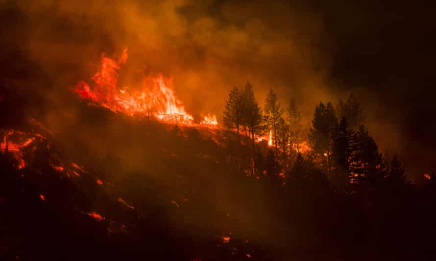 Trees burn through the night in the Dixie fire on 17 August.