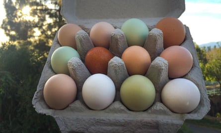 Apricot Lane Farms sells its grass-pastured, soy-free eggs to local health food stores such as Erewhon.